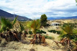 08 20210922 ALMERIA UN CROCHET PAR TERQUE MAISON TROGLODYTE (2)